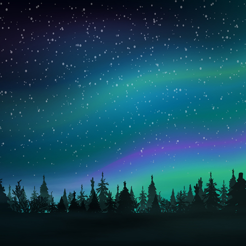 Pine forest, starry sky and Northern lights