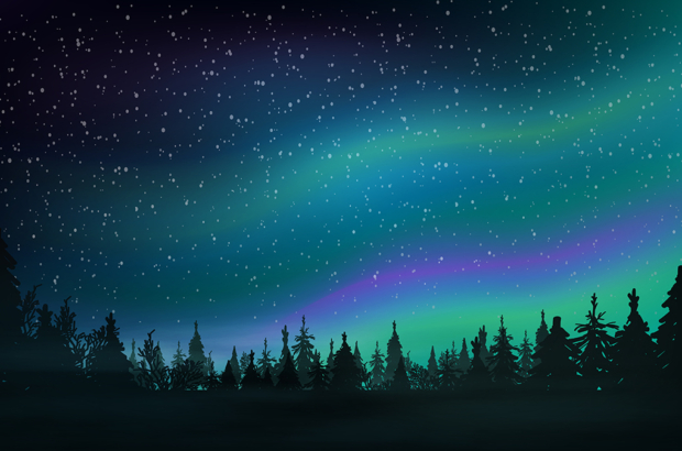 Pine forest, starry sky and Northern lights