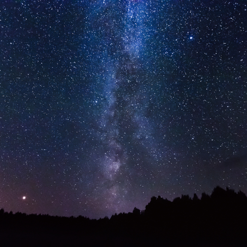 Starry sky, milky way, beautiful landscape, night time, Belarus.