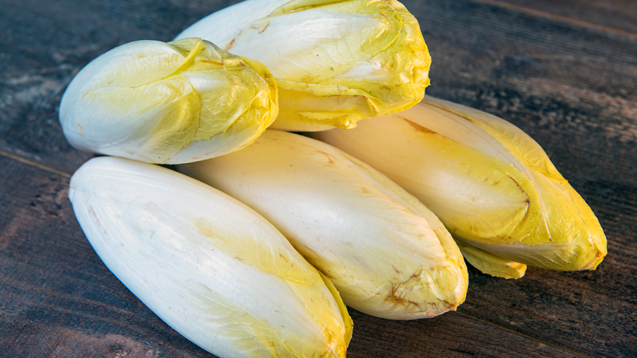 organic endive on the wooden background