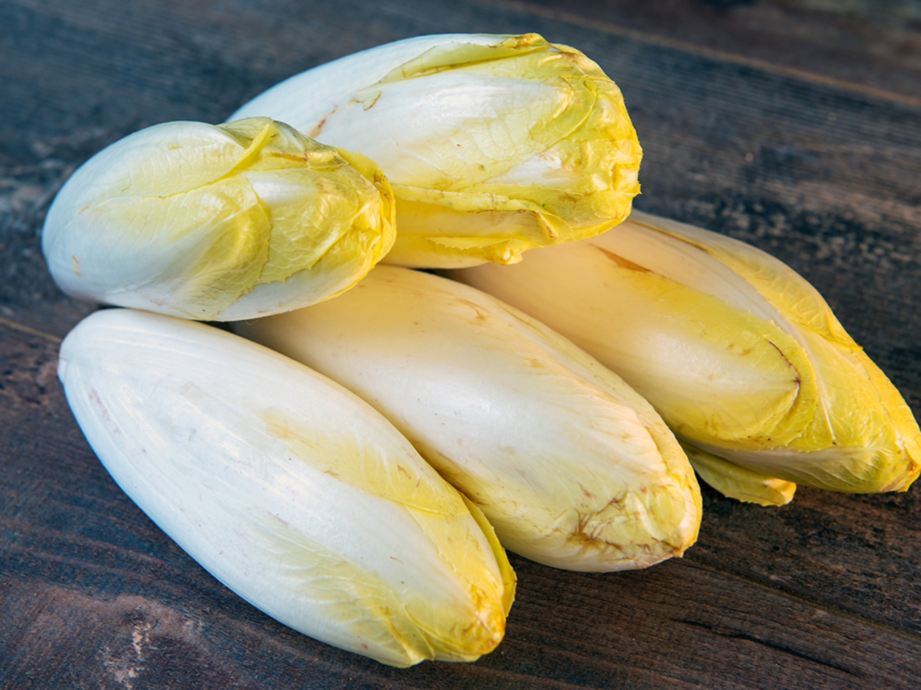 organic endive on the wooden background