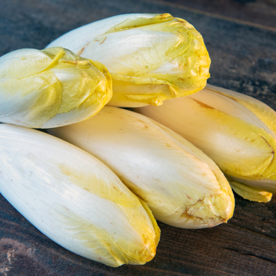 organic endive on the wooden background