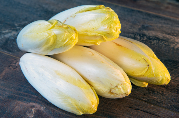 organic endive on the wooden background